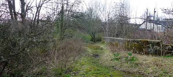 Overgrown road surface of bridge