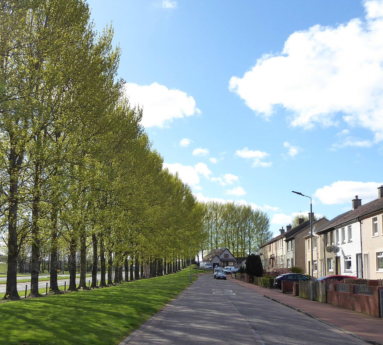Eastwood Drive in Spring