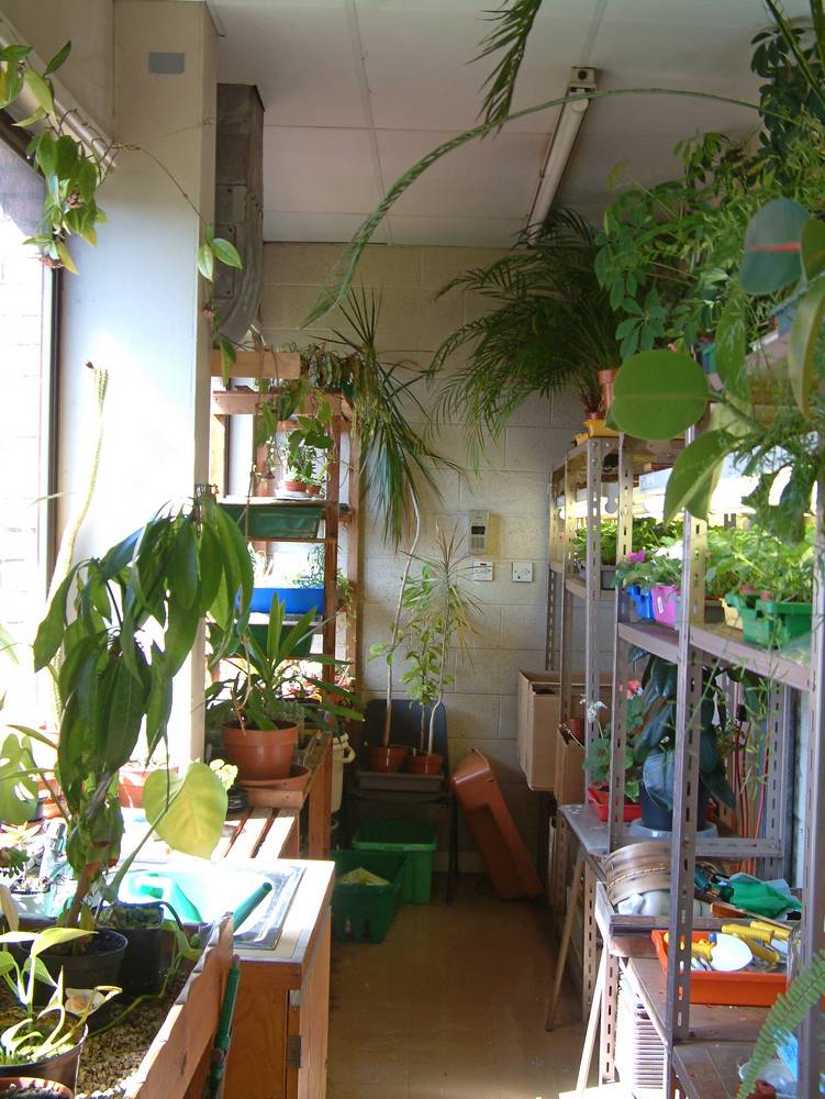 'Greenhouse' in Biology Department