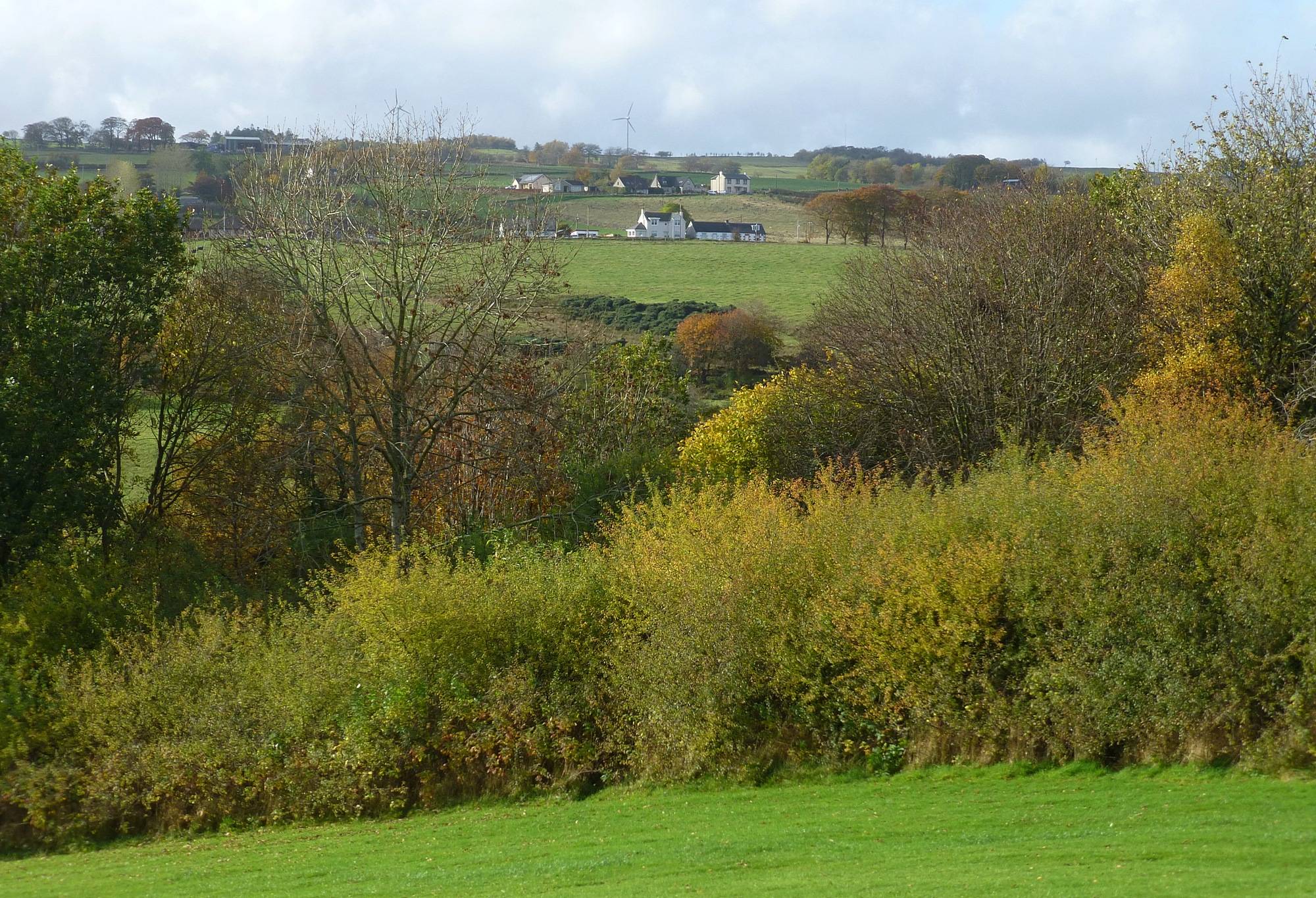 view from Hillcrest