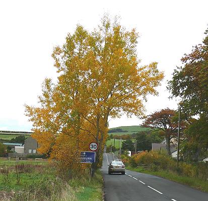 Dillarburn in Autumn