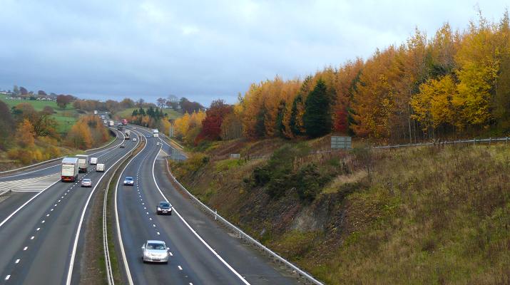 Colours in trees beside the M74 at Lesmahagow