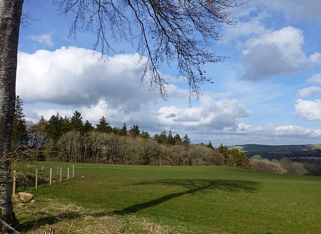 View from road between New Trows Road and South Garngour