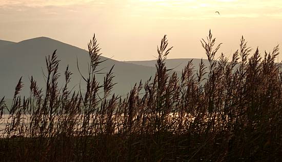 River Nith at sunset
